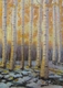 Painting-Aspen Gold