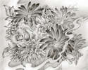 Flower%20Drawing%20%238 (thumbnail)