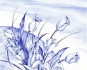 Blue%20Moon%20Tulips (thumbnail)