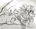 Flower%20Drawing%20%2315 (thumbnail)