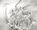 Flower%20Drawing%20%2316 (thumbnail)