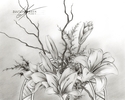 Flower%20Drawing%20%2318 (thumbnail)