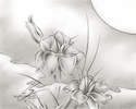 Flower%20Drawing%20%2319 (thumbnail)