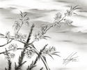 Flower%20Drawing%20%2322 (thumbnail)