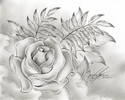 Graphite%20Rose%20%2324 (thumbnail)