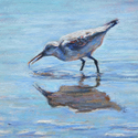 Sandpiper%20No.%202 (thumbnail)