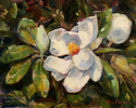Magnolia%20Blossom (thumbnail)