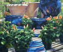 Hibiscus%20and%20Blue%20Pots (thumbnail)
