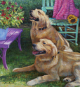 Buddy%20and%20Mollie (thumbnail)