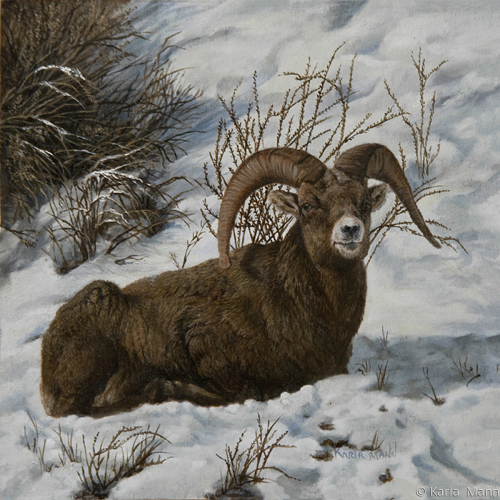 Painting-Wildlife-Chilling Out