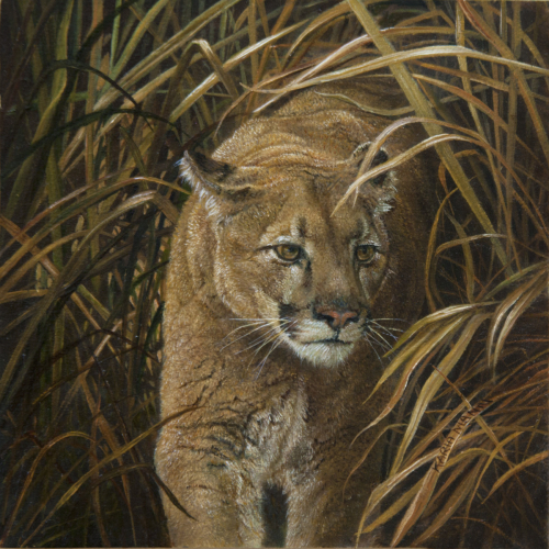 Painting-Wildlife-On the Prowl