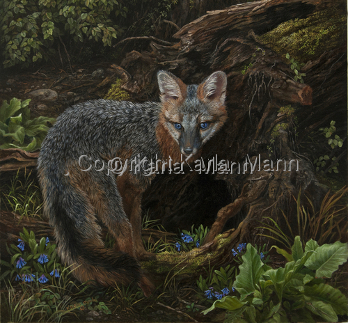 Painting-Wildlife-Who's Following Me