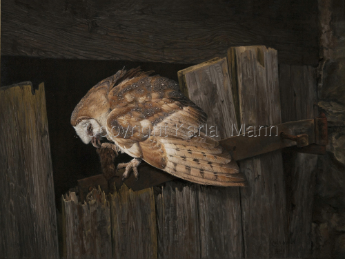 Painting-Wildlife-Morning Delicacy