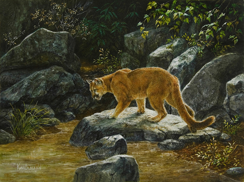 Painting-Animals-Curosity