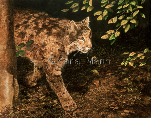 Painting-Wildlife-Out of the Shadows