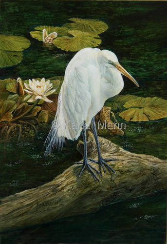 Painting-Wildlife-White Egret