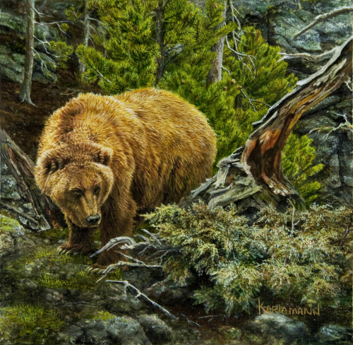 Painting-Wildlife-Teton Grizzly