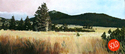 Painting--Oil-LandscapeTahoe Meadows