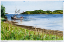 Seining the shore, Kodiak