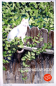 Painting-White Cat