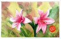 Painting--Watercolor-FloralWild lilies