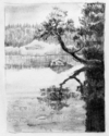 Drawing--Pencil-Landscapetwo cedars