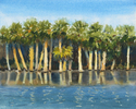Richard Woods - Flooded Palmettos