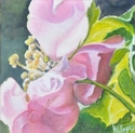 Painting--Oil-Still LifeWild Rose