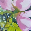 Painting--Oil-Still LifeWild Rose II