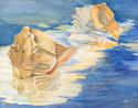 Painting--Watercolor-SeascapeConch Shells
