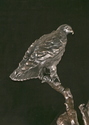 Sculpture--Bronze-FigurativeHawk,view two