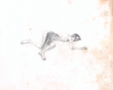 Exhaustion study