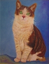 PET PORTRAIT PET%20PORTRAIT (thumbnail)
