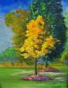 FALL%20MAPLE (thumbnail)