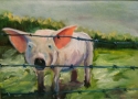 THIS LIL PIGGY THIS%20LIL%20PIGGY (thumbnail)