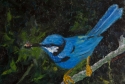 LITTLE BIRD BLUE LITTLE%20BIRD%20BLUE (thumbnail)