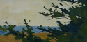 Scrub Pine