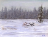 "Winter Calm" %22Winter%20Calm%22%20 (thumbnail)