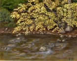 "Autumn Creek" %22Autumn%20Creek%22 (thumbnail)