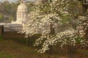 Ky%20State%20Capitol (thumbnail)