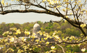 Kentucky%20State%20Capitol%201 (thumbnail)