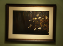 Dogwood in the Darkness Dogwood%20in%20the%20Darkness (thumbnail)