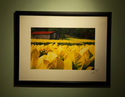 Kentucky Gold Kentucky%20Gold (thumbnail)