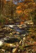 Treemont%20in%20the%20Fall (thumbnail)