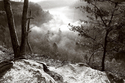Misty%20Morning (thumbnail)