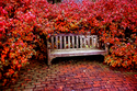 Bernheim%20Bench (thumbnail)