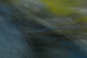 The%20Dancer (thumbnail)