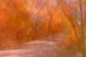 Colorful%20Dream (thumbnail)