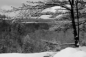 Natural%20Bridge%20II (thumbnail)