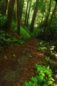 Lonely%20Trail (thumbnail)